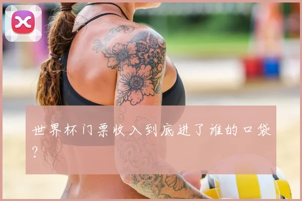 世界杯门票收入到底进了谁的口袋?