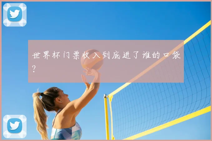世界杯门票收入到底进了谁的口袋?