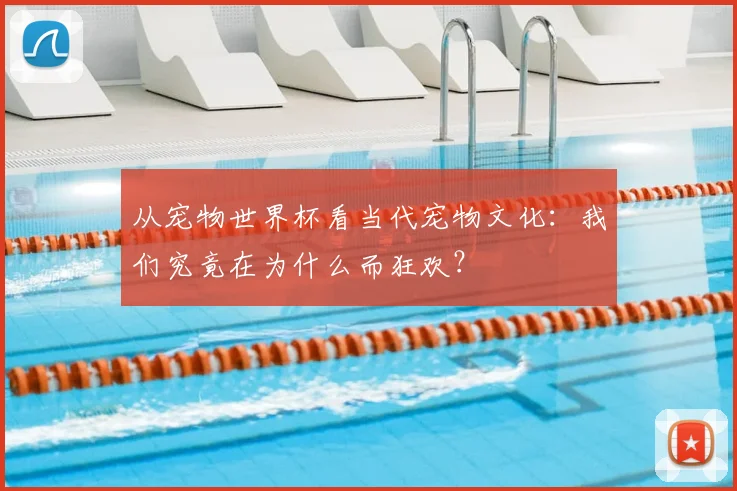 从宠物世界杯看当代宠物文化:我们究竟在为什么而狂欢?