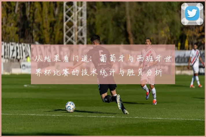 从结果看门道：葡萄牙与西班牙世界杯比赛的技术统计与胜负分析