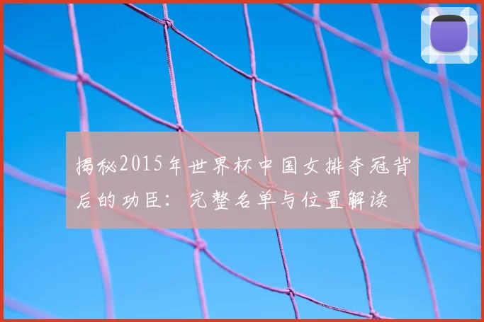 揭秘2015年世界杯中国女排夺冠背后的功臣:完整名单与位置解读