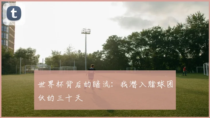 世界杯背后的暗流：我潜入赌球团伙的三十天