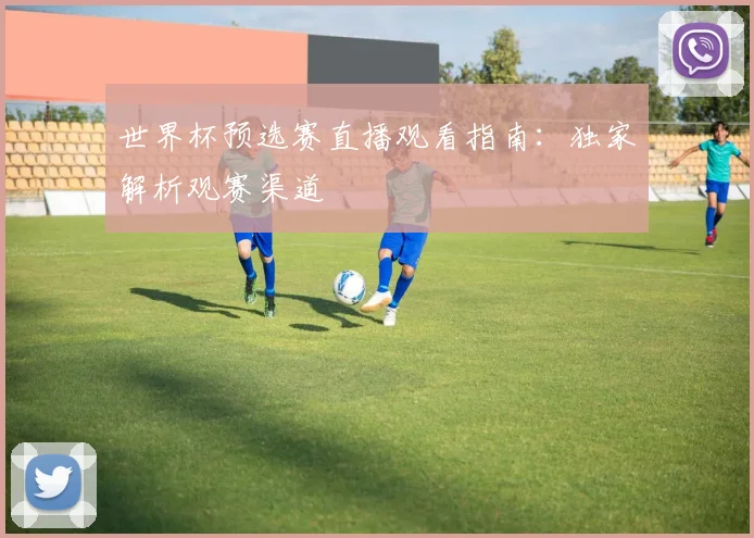 世界杯预选赛直播观看指南：独家解析观赛渠道