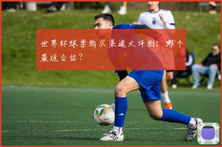 世界杯球票购买渠道大评测：哪个最适合你？